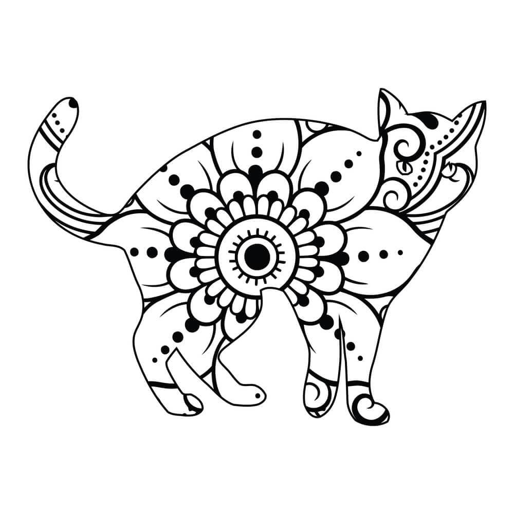 Mandalas Chat 47